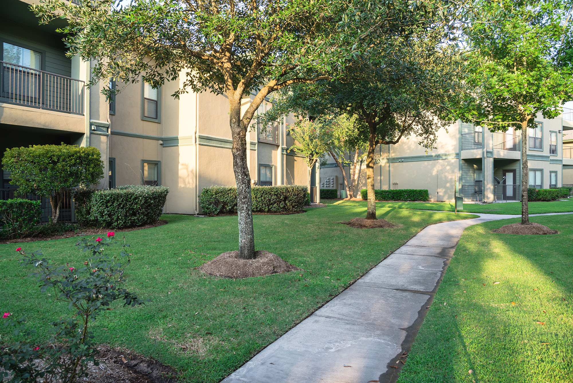 Clean lawn and tidy oak trees along a walkway through a typical apartment complex building in suburban area